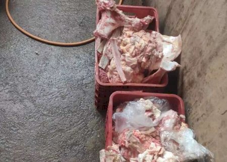 Comerciante é flagrado vendendo 850 kg de carne podre e com insetos em MS