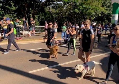 Abril Laranja: Ações de conscientização contra maus-tratos a animais chegam a Bodoquena e Corumbá>