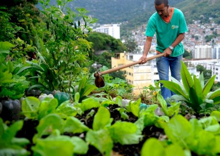 Produção local pode melhorar alimentação em centros urbanos>