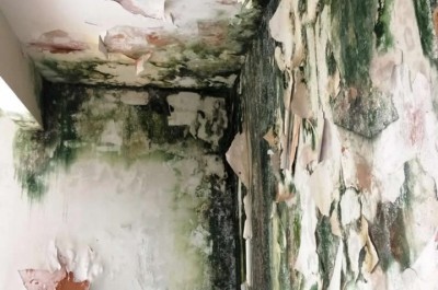 Estão servindo como cenário de filme de terror alguns prédios da prefeitura de Deodápolis