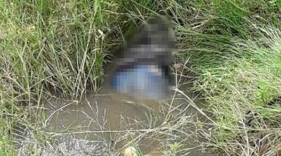 Caseiro é encontrado morto em córrego em Nova Alvorada do Sul