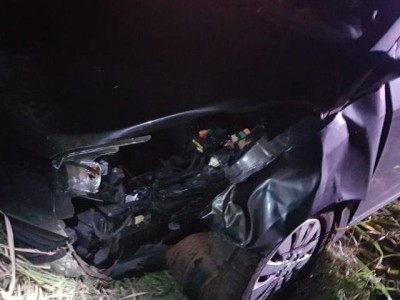 Nova Andradina: Motorista perde controle de carro e sai da pista ao atropelar anta