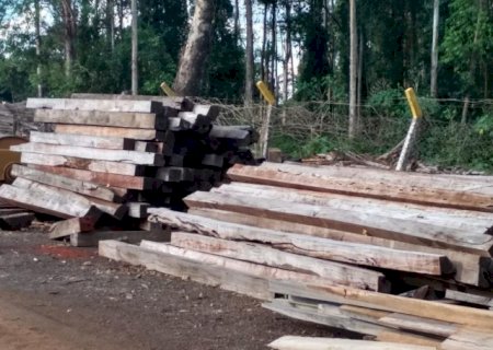 Empresário é multado em R$ 11,5 mil por armazenamento ilegal de madeira em Nova Alvorada do Sul