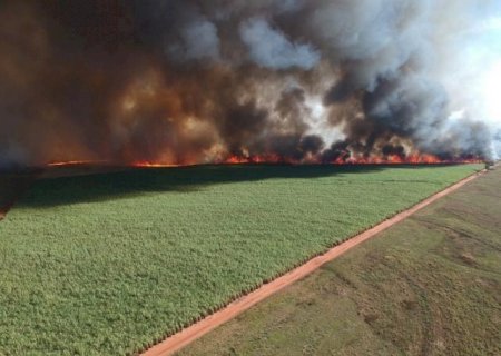 Incêndio destrói 840 hectares e usina em Nova Andradina é multada em R$ 953 mil pela PMA
