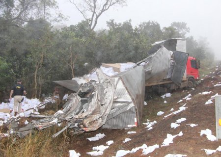 Bebê de 2 meses sofre traumatismo craniano depois de caminhões baterem na BR-163