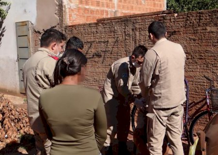 Idoso tem parte do rosto arrancado após ser atacado por cachorro em portão em Nova Alvorada do Sul