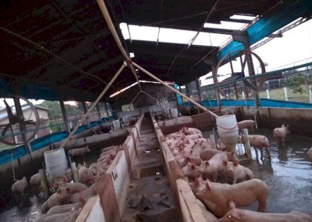 Vendaval causa destruição no Novo Pinheiro em Glória de Dourados