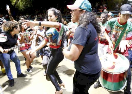 Com enredo em homenagem a Renato Teixeira, Deixa Falar é campeã do Carnaval de Campo Grande