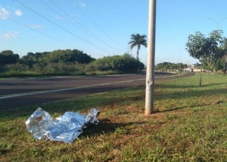 Motociclista morre após bater em poste no canteiro de avenida na Capital