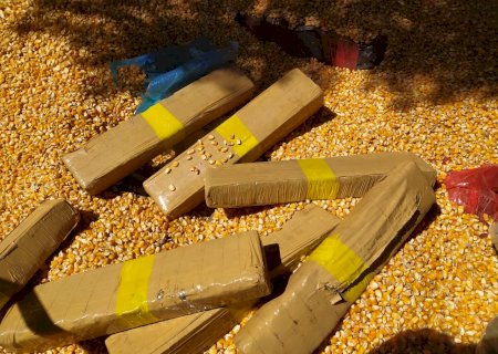 PMR apreende 5,5 ton de maconha entre Deodápolis e Indápolis