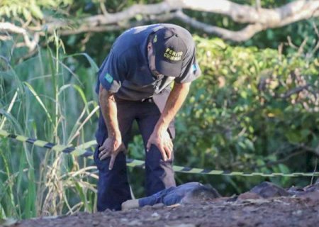 Natural de S&atilde;o Paulo, homem morto na capital tinha 58 anos