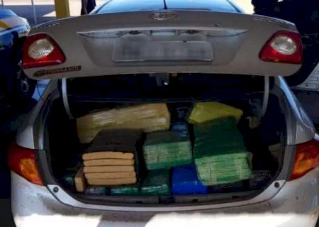 PRF apreende 1,6 tonelada de maconha em dois ve&iacute;culos na BR-267