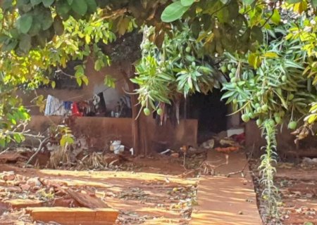 Mulher é encontrada morta e cães podem ter mutilado o corpo