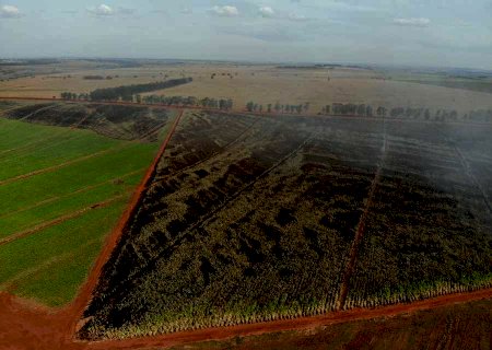 Lixão pega fogo e chamas atingem plantação de cana em Nova Andradina