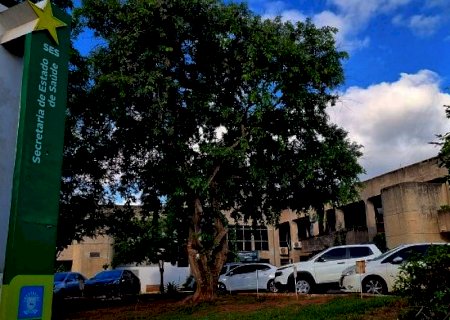 Governo autoriza concurso para preencher 201 cargos em diferentes funções na Secretaria de Saúde