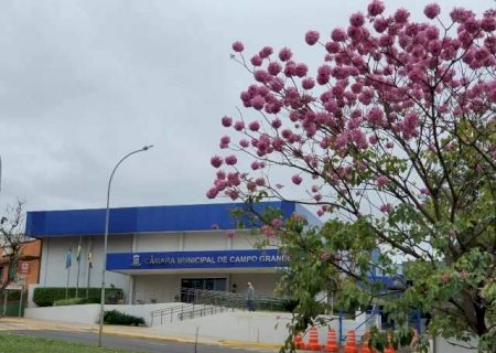 C&acirc;mara de Campo Grande encerra inscri&ccedil;&otilde;es para concurso neste domingo