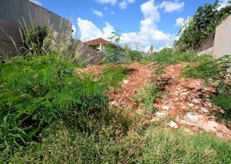 Capital aplicou R$ 2 milhões em multas por terrenos sujos