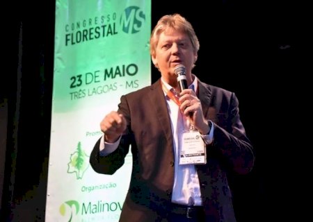 Para MS se tornar \'carbono neutro\' até 2030, governo lança plano estadual de Florestas