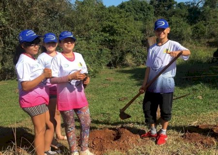 Dia Mundial do Meio Ambiente: Alunos do Projeto Bom de Bola, Bom na escola fazem o plantio de 600 mudas de àrvores, em Fátima do Sul