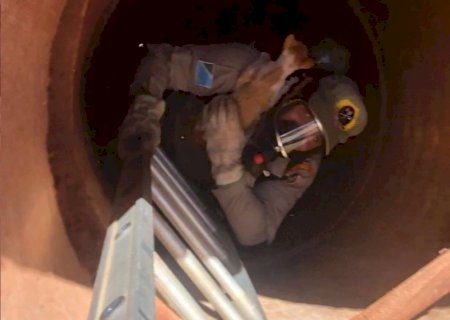 Bombeiros salvam gato que caiu em bueiro de nove metros de profundidade em Nova Andradina
