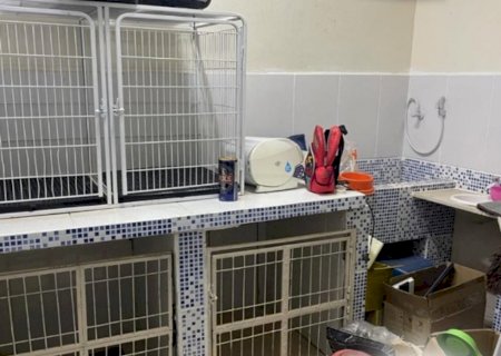 Conselho e Procon-MS fecham clínica veterinária irregular em Campo Grande