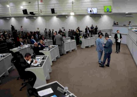 Vereadores votam projeto que visa coibir maus tratos em pet-shops e outros em Campo Grande