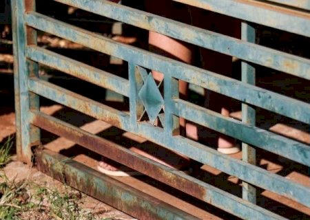 Homem escapa de atentado a tiros, mas cachorra da fam&iacute;lia morre baleada em Campo Grande