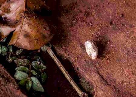 Acusado de roubar carro é morto em confronto com PM no Jardim Anache, em Campo Grande