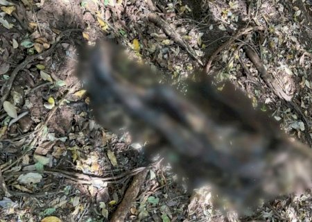 Corpo de homem \'mumificado\' é encontrado perto de pesqueiro em Campo Grande