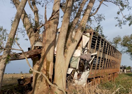 Motorista morre em acidente na BR-376 em Vicentina