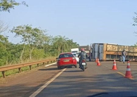 Motorista sai ileso após tombar caminhão com porcos na BR-376 entre Fátima do Sul e Dourados