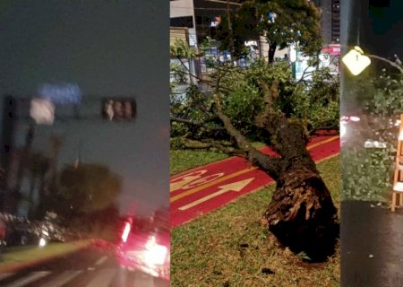 FOTOS: Tromba d\'água com ventos de 80 km/h leva caos ao Centro de Campo Grande