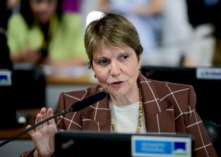 Senado aprova projeto de Tereza Cristina que favorece compras dos municípios