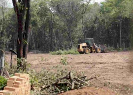 Após acordo com MPMS liberar desmatamento no Parque, ambientalistas fazem protesto para barrar decisão