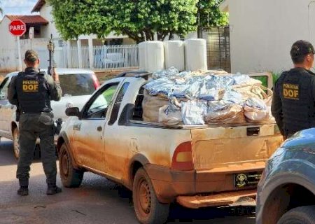 Polícia suspeita de “reboque” e apreende R$ 1,6 milhão em agrotóxicos ilegais em Dourados