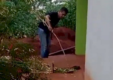 PMA de folga captura jiboia em Vicentina