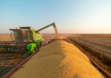 Colheita da soja já avançou por 3,3 milhões de hectares em Mato Grosso do Sul