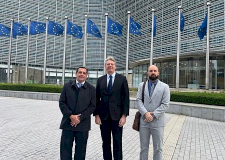 Governo e Reflore apresentam panorama do setor florestal de MS a representantes da União Europeia