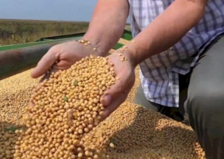 Levantamento aponta que exportações de soja do Brasil devem cair em 2024