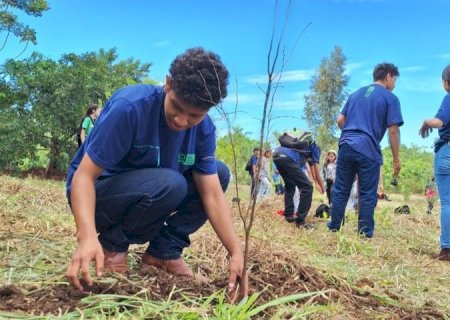 Projeto com estudantes de escola indígena realiza restauração de vegetação em Dourados