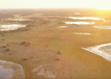 Imasul convoca proprietários de imóveis no Pantanal com processos em andamento para adequação à nova lei>