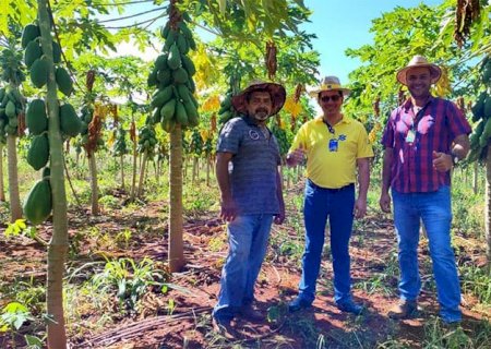 Parceria estratégica impulsiona a fruticultura em Vicentina