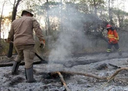 Após 4 anos do maior incêndio no Pantanal, estados amadurecem e firmam acordo>