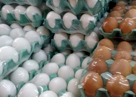 Exportação de ovos cai em março, mas acumulado do trimestre é positivo