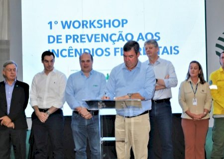 Para proteção do Pantanal e demais biomas, Governo de MS decreta situação de emergência ambiental