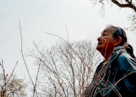 Na luta por sobrevivência, indígenas chegam ao alto escalão com lista de desafios para MS