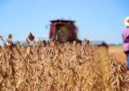 Colheita de soja 2023/24 atinge 84% da área no Brasil, diz consultoria
