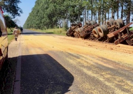 Motorista perde controle, tomba carreta e carga de soja fica espalhada entre Deodápolis e Ivinhema na BR-376