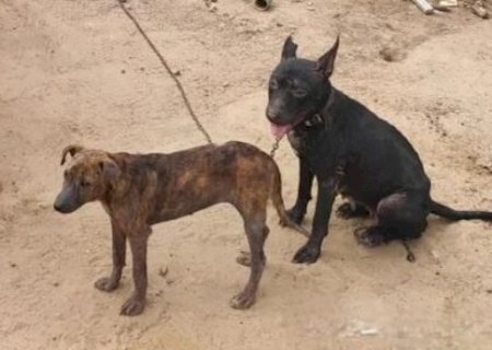 Homem é encontrado morto em quitinete em Ivinhema