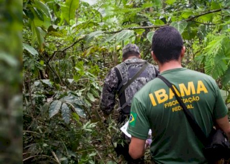 Governo autoriza concursos públicos com 810 novas vagas para Ibama e ICMBio